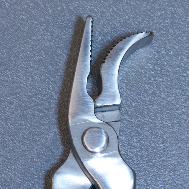 Lopez Saddlehorse Clincher